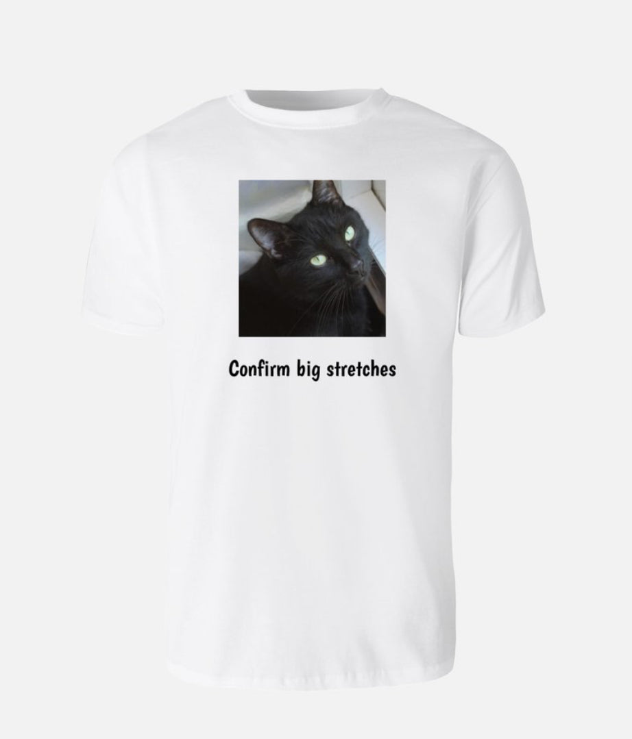 Confirm big stretches Dusty T-shirt UNISEX