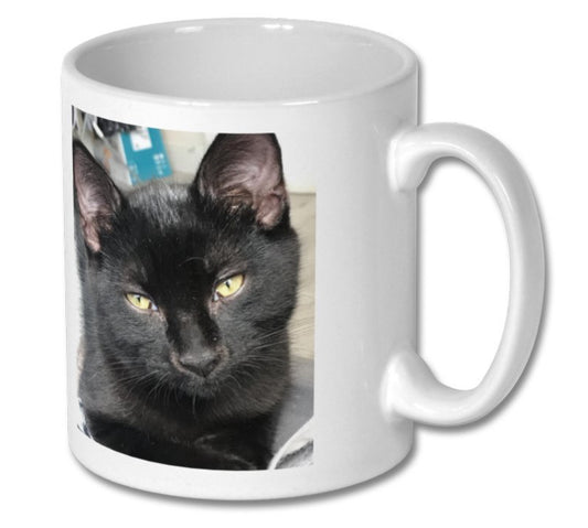 Baby Dusty Mug