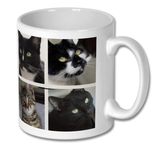 Pre order - ‘life’s better with cats’ Mug