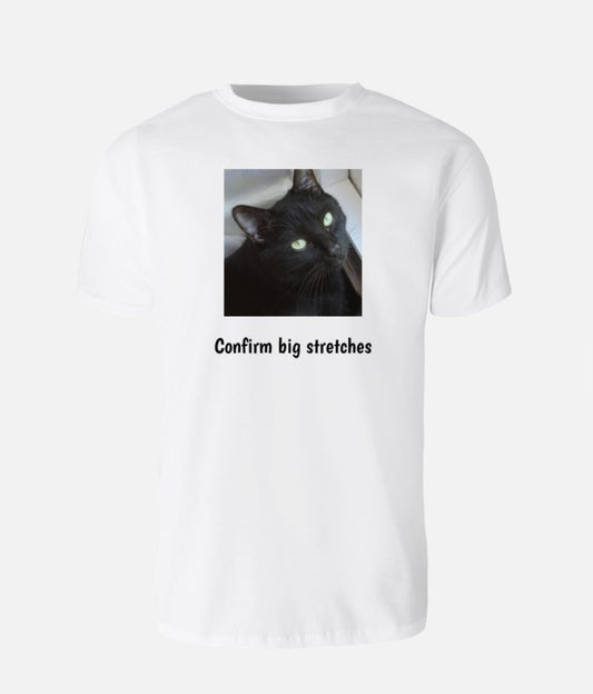 Confirm big stretches Dusty T-shirt UNISEX
