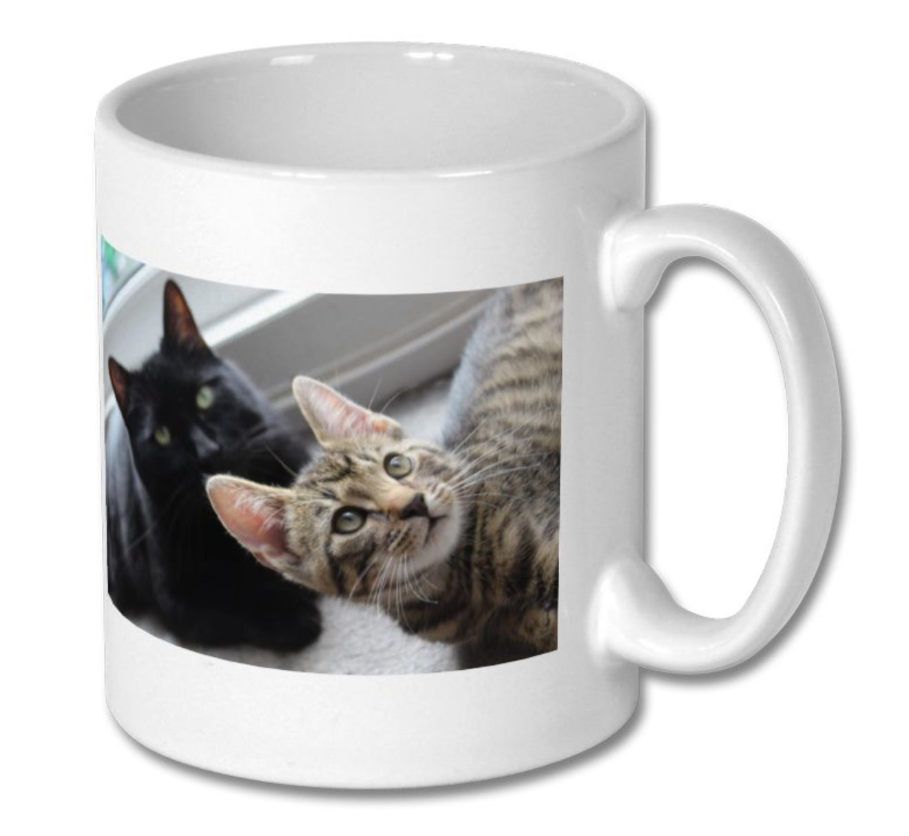 Pre order - Dusty & Frankie Mug