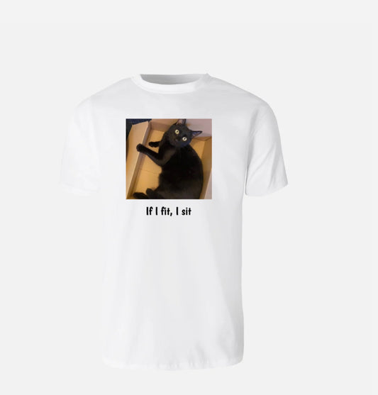 If I fit, I sit dusty T-shirt UNISEX