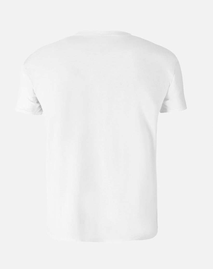 Confirm big stretches Dusty T-shirt UNISEX
