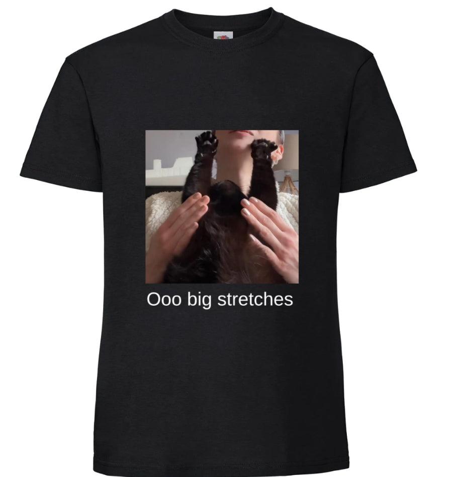 Pre order ‘ooo big stretches’ unisex dusty T-shirt