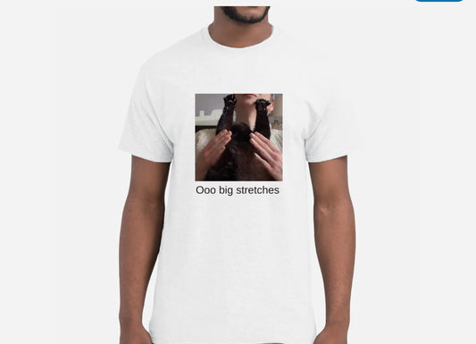 Pre order ‘ooo big stretches’ unisex dusty T-shirt